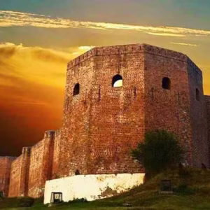 4823b3_9000cb1b163c4d6596f7c5903818116e~mv2