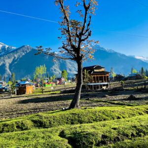 beautiful-landscape-arang-kel-kashmir-with-green-fields-local-houses-with-hidden-clouds