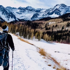 sivasankara-reddy-bommireddy-ymvbfgmaoxs-unsplash_1667389953242_1667389968024_1667389968024